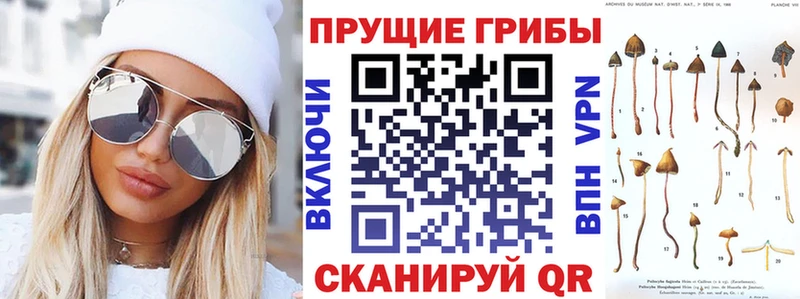 kraken ТОР  Зерноград  Псилоцибиновые грибы MAGIC MUSHROOMS 